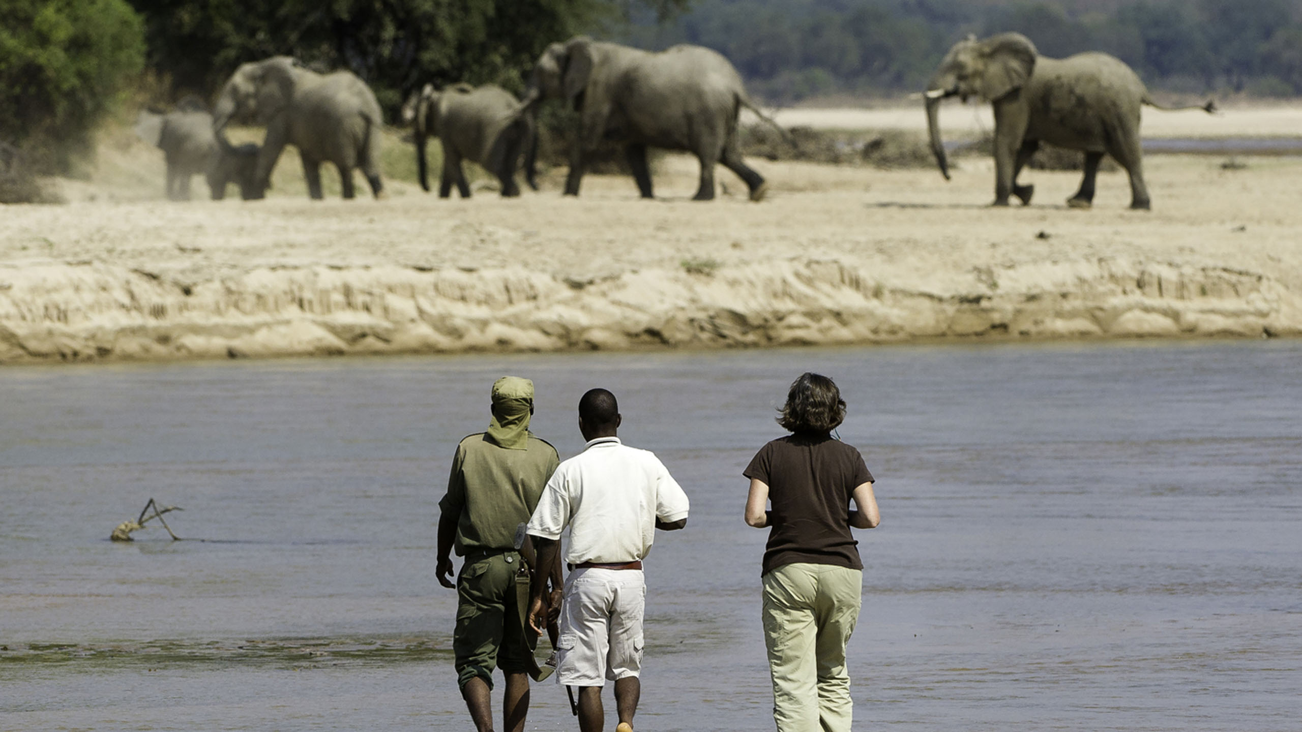 Kapamba Bushcamp