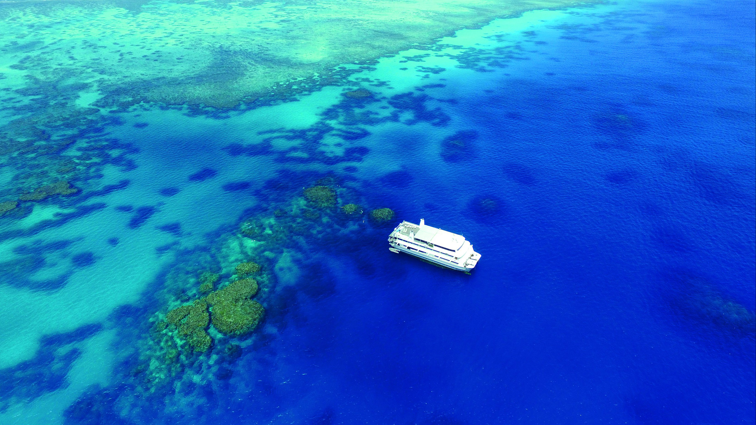 Coral Expeditions II