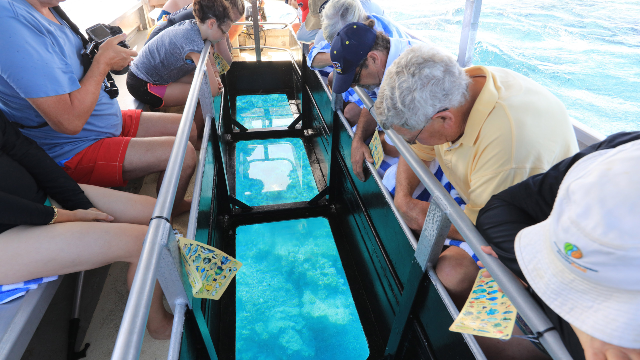 Coral Expeditions II