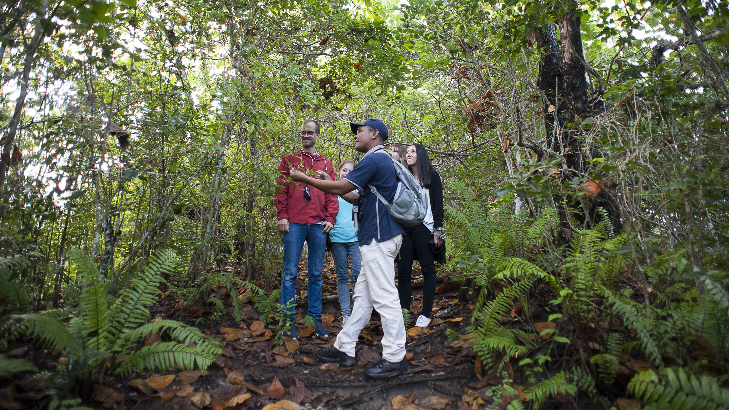 Manafiafy Beach & Rainforest Lodge