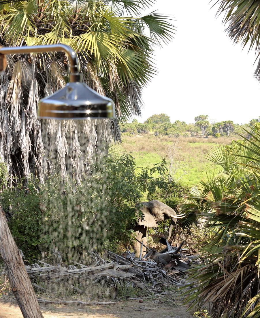 An outdoor shower at Roho ya Selous with an elephant wandering in the background.