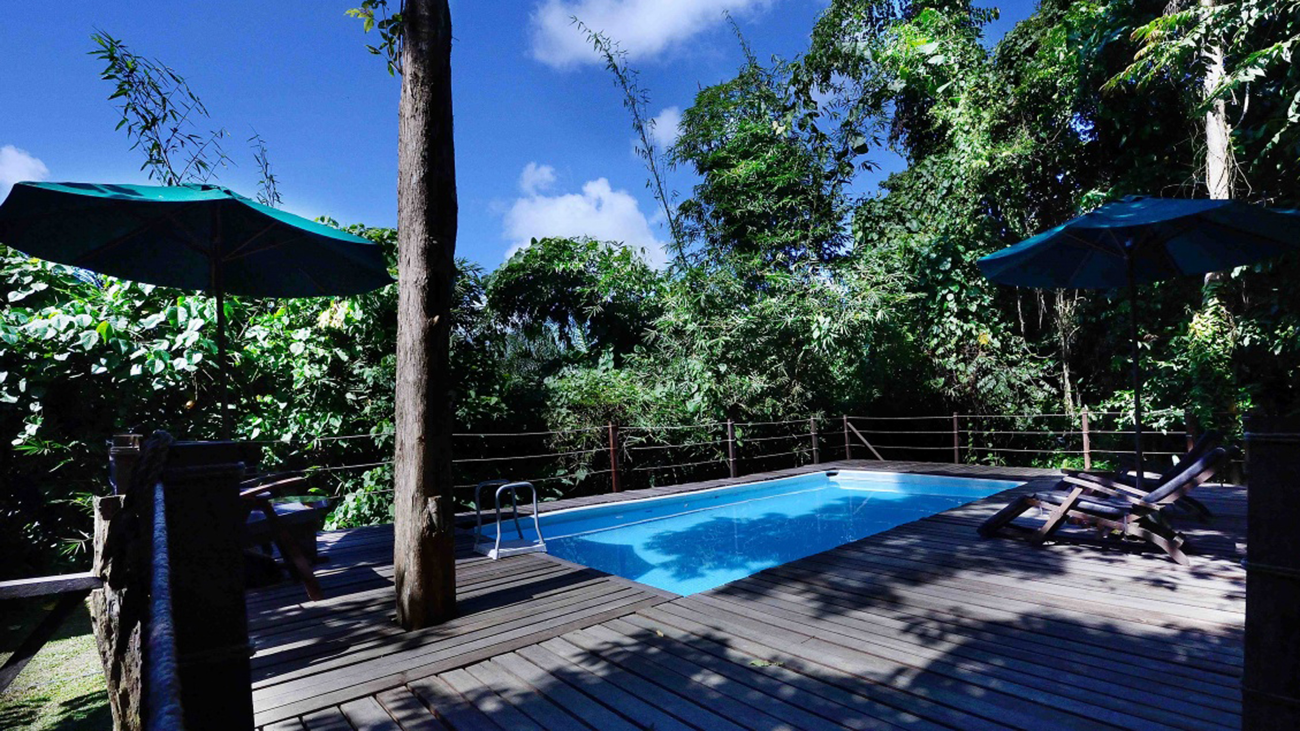 Sukau Rainforest Lodge