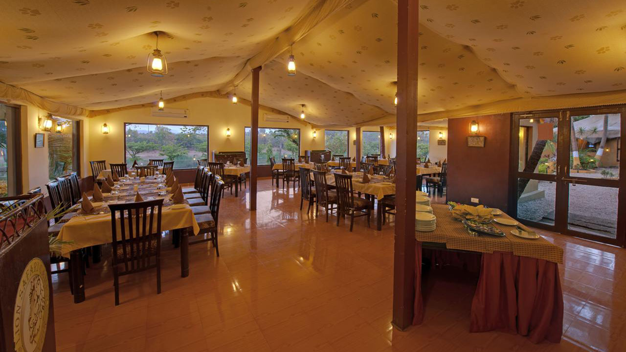 Lion Safari Camp