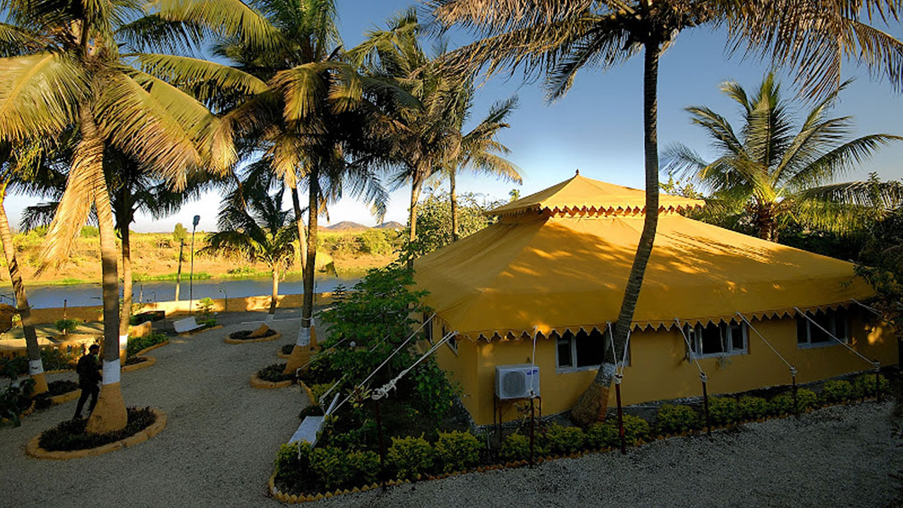 Lion Safari Camp