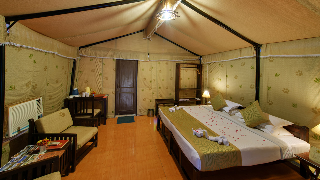 Lion Safari Camp