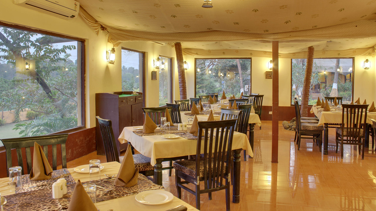 Lion Safari Camp