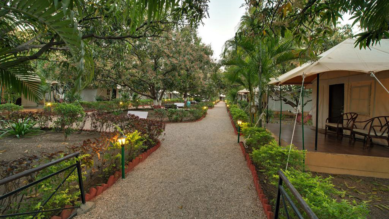 lion-safari-camp-gir-national-park-india