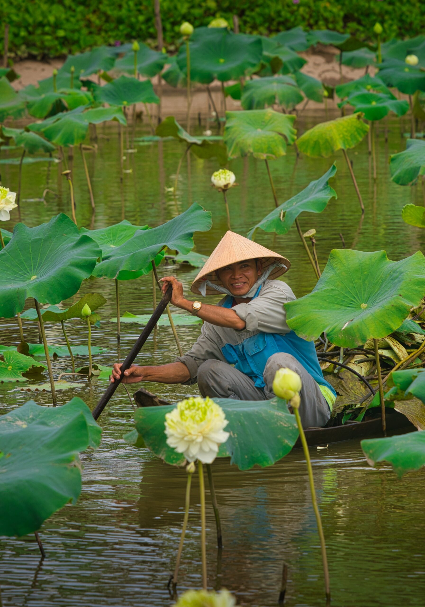 Legacy Mekong