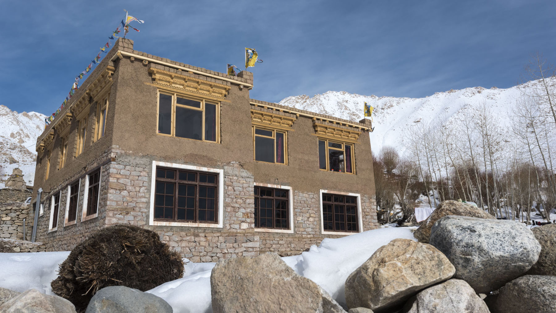 Snow Leopard Lodge