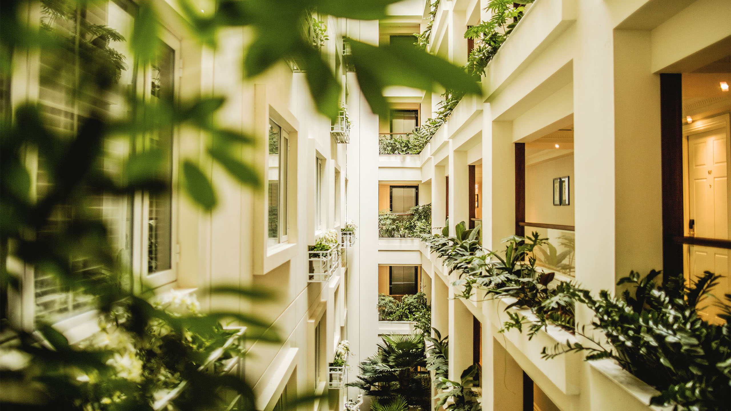 Apricot Hotel