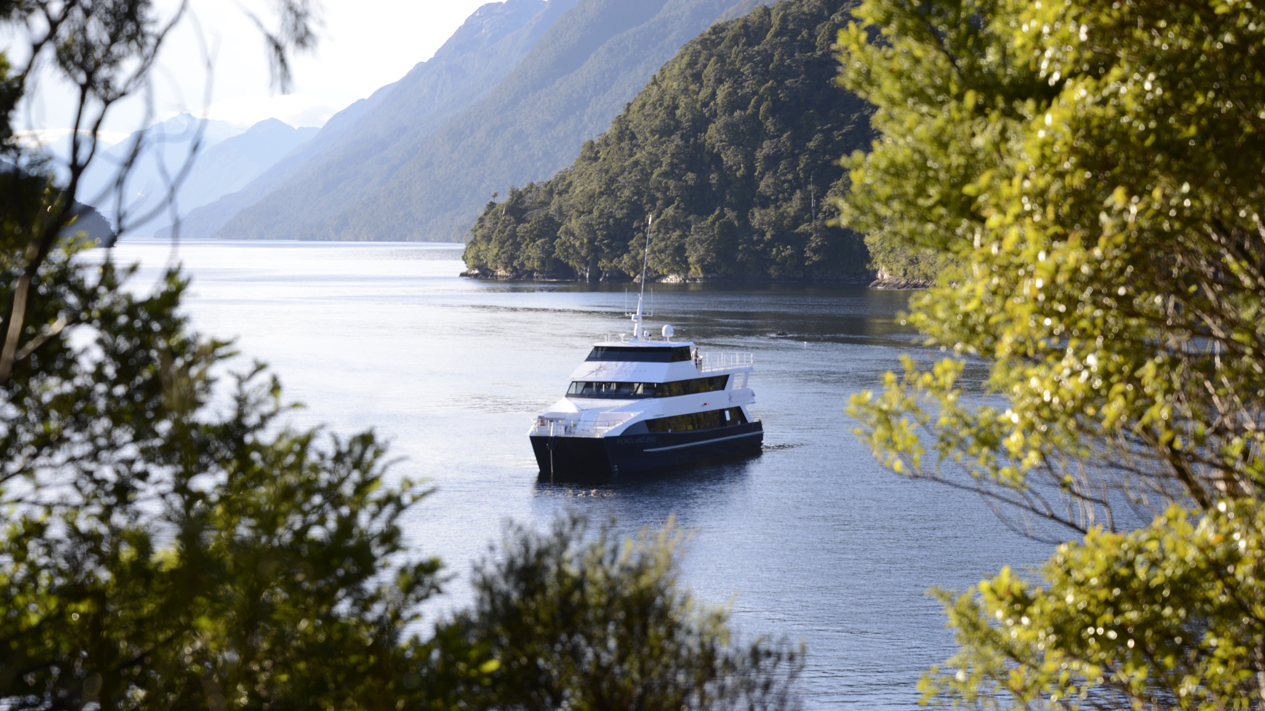Fiordland Jewel