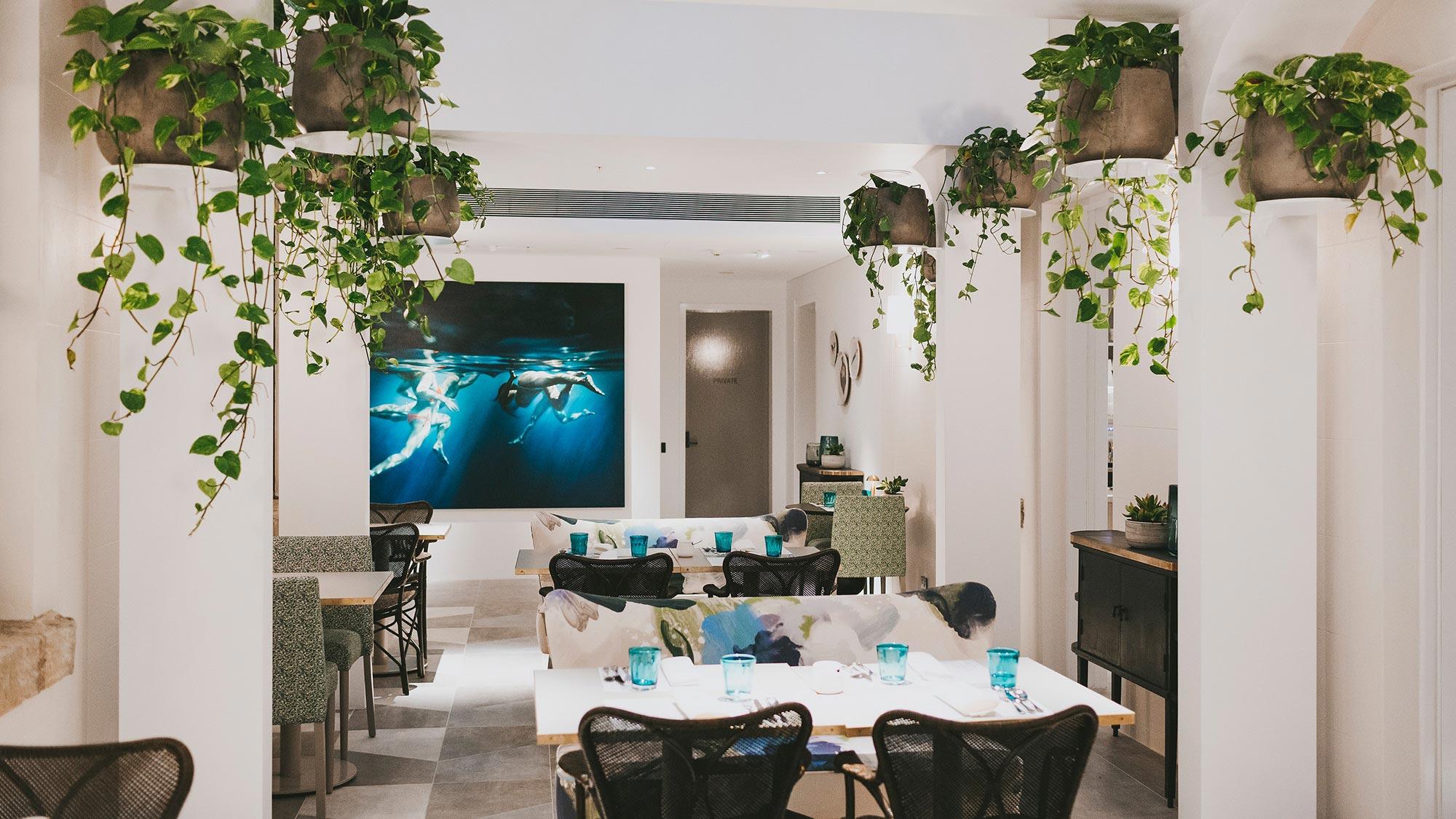 Spicers Potts Point