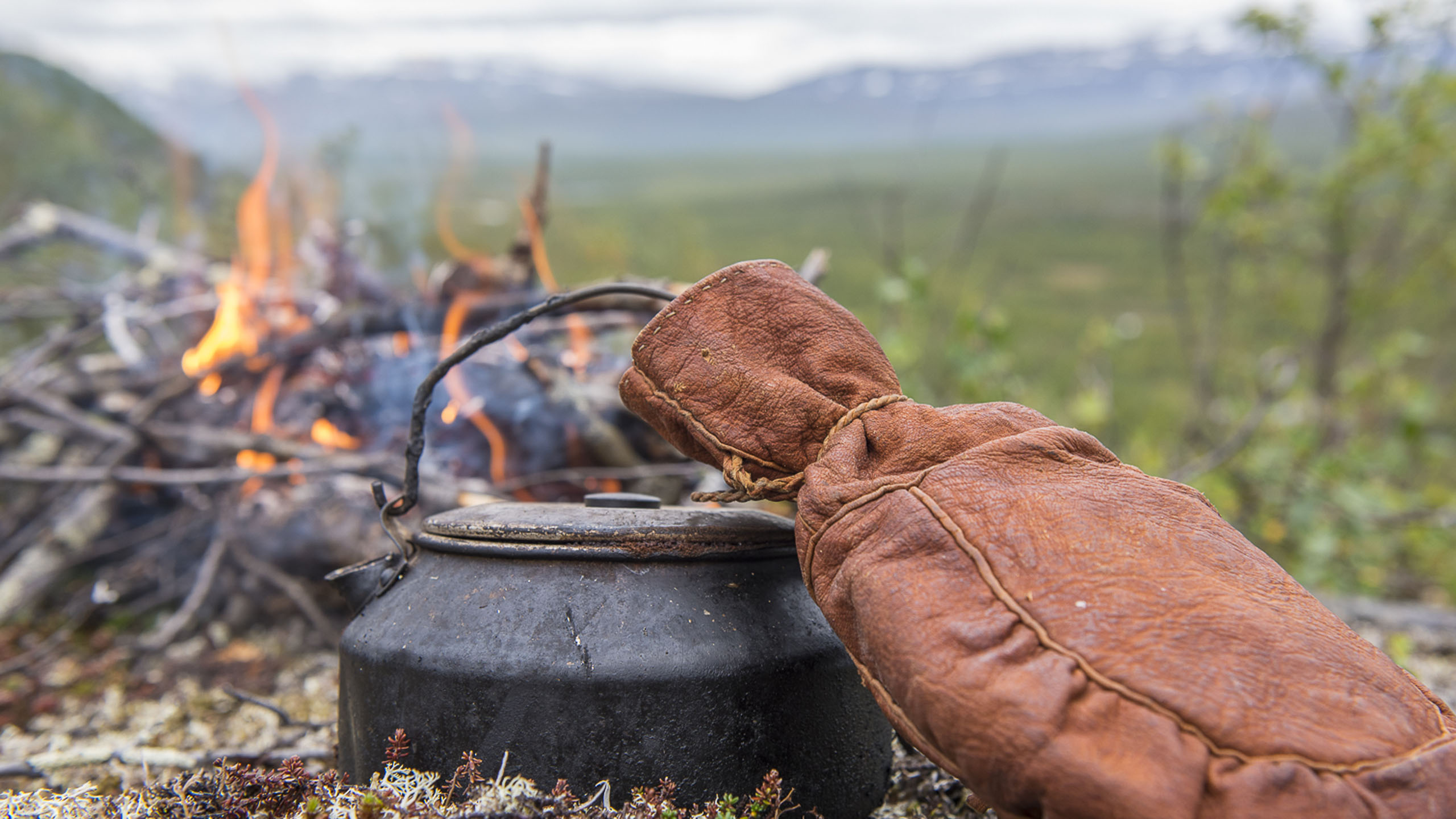 Sápmi Nature Camp