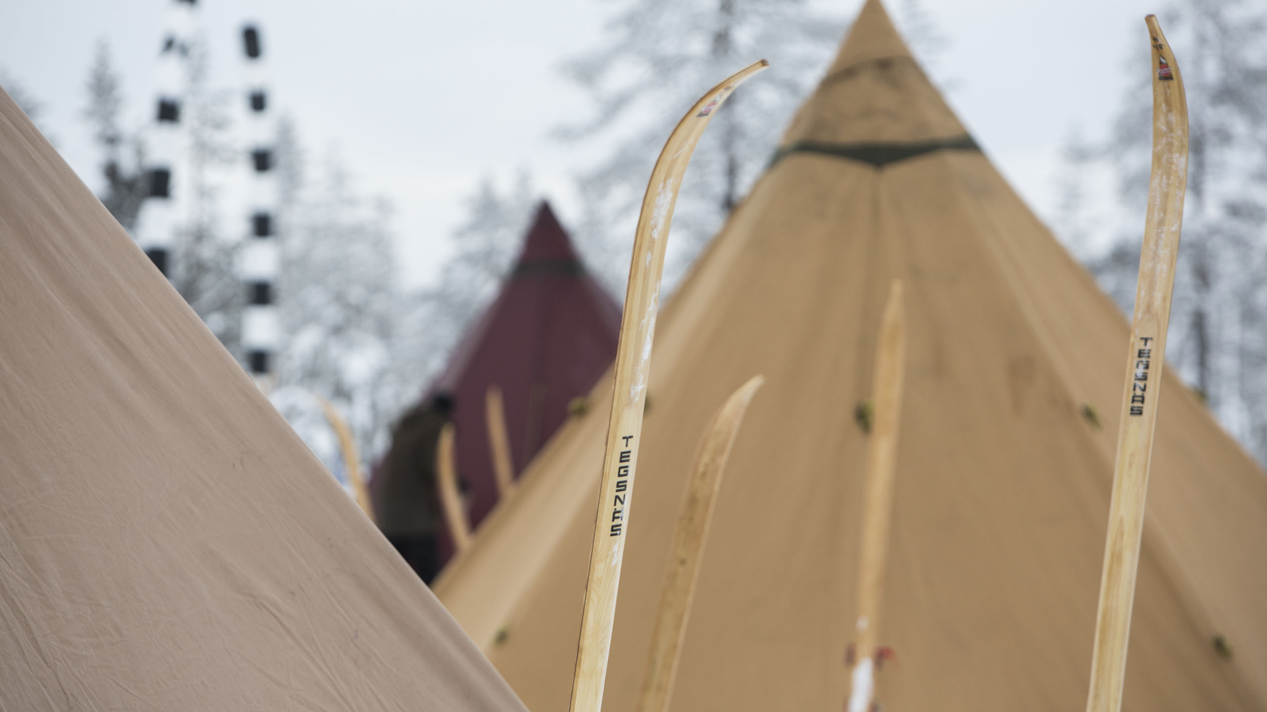 Sápmi Nature Camp
