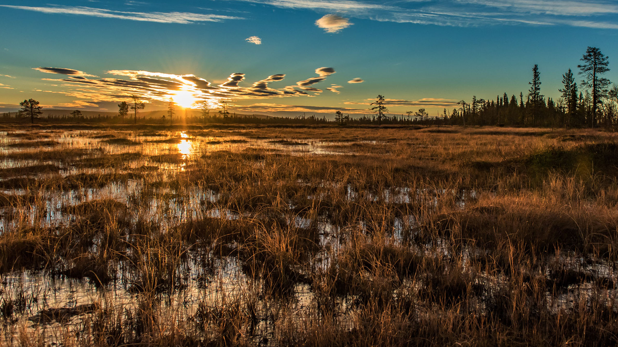 Sápmi Nature Camp