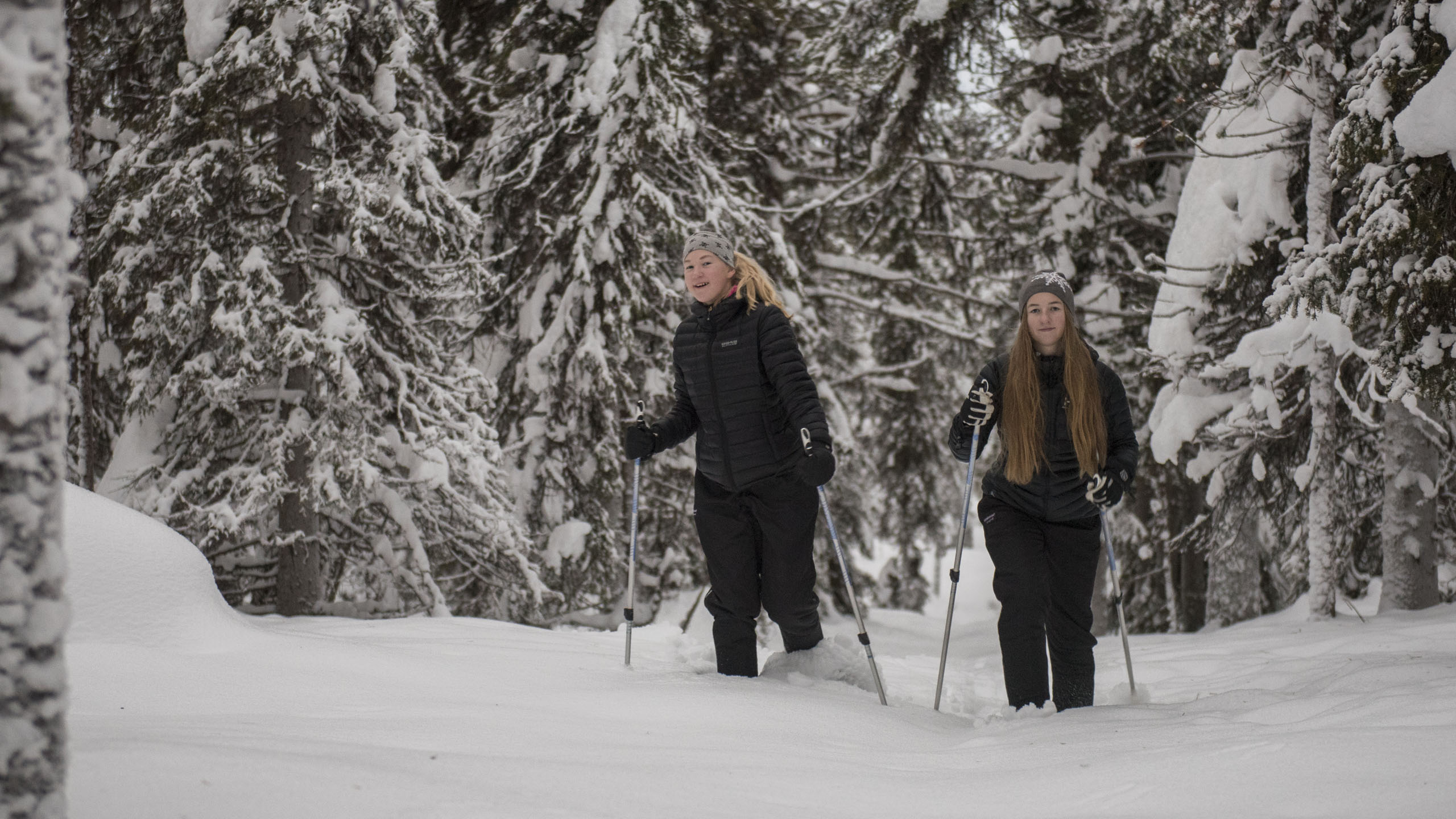 Sápmi Nature Camp