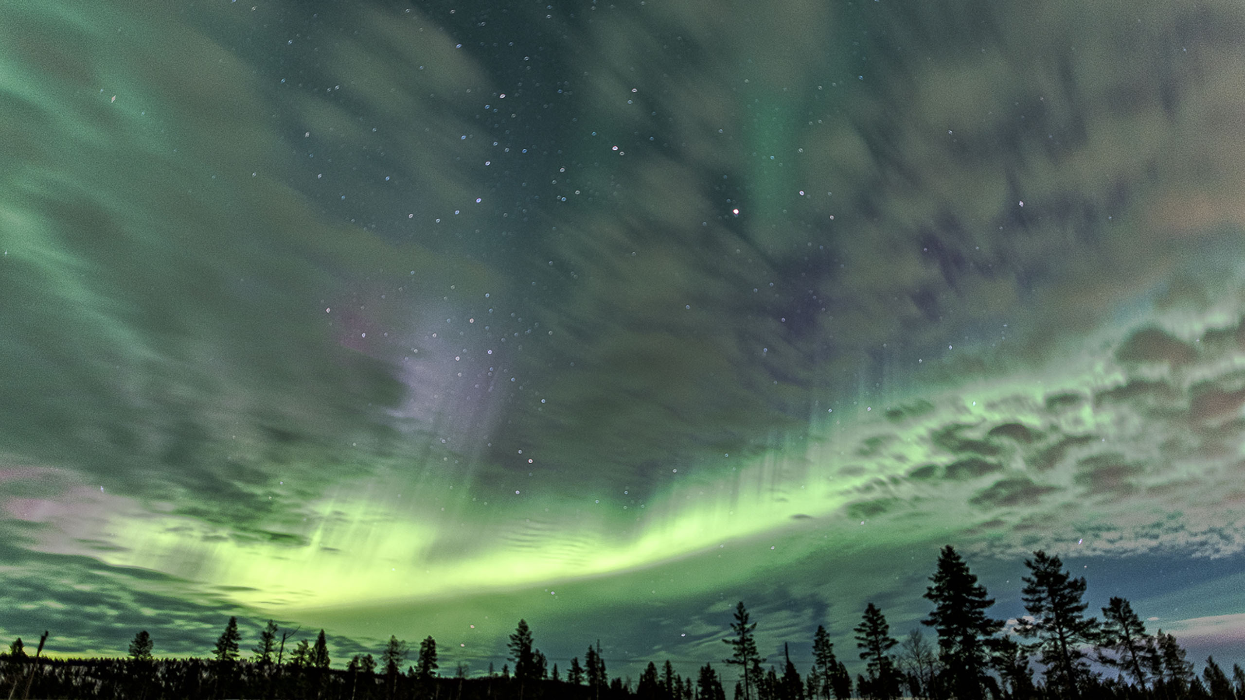 Sápmi Nature Camp