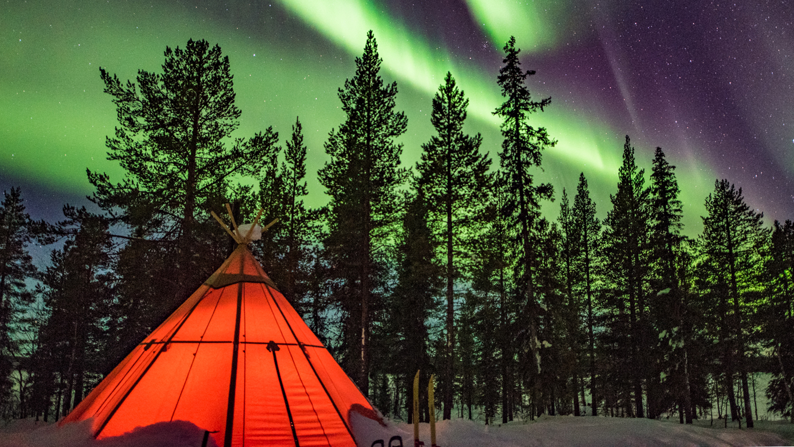 Sápmi Nature Camp