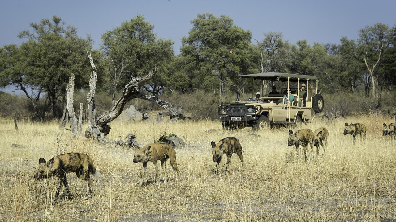 Wilderness Linyanti Tented Camp
