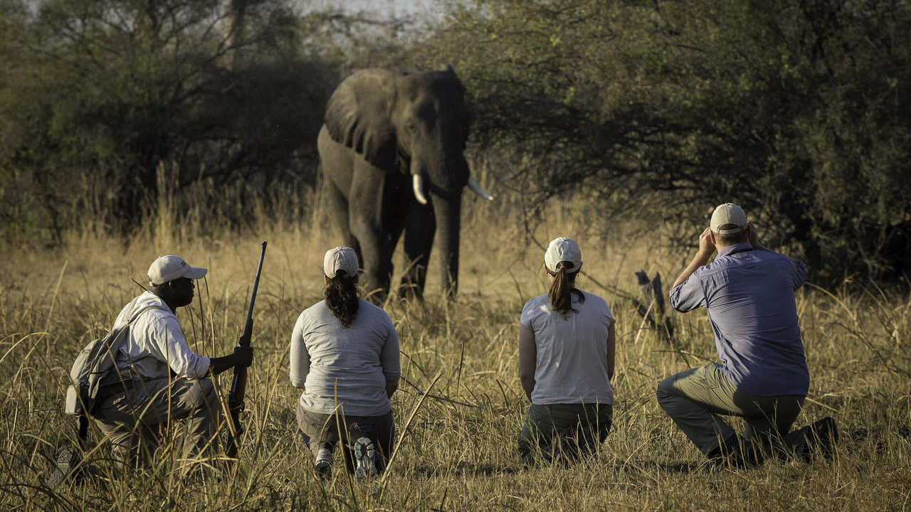 Wilderness Linyanti Tented Camp