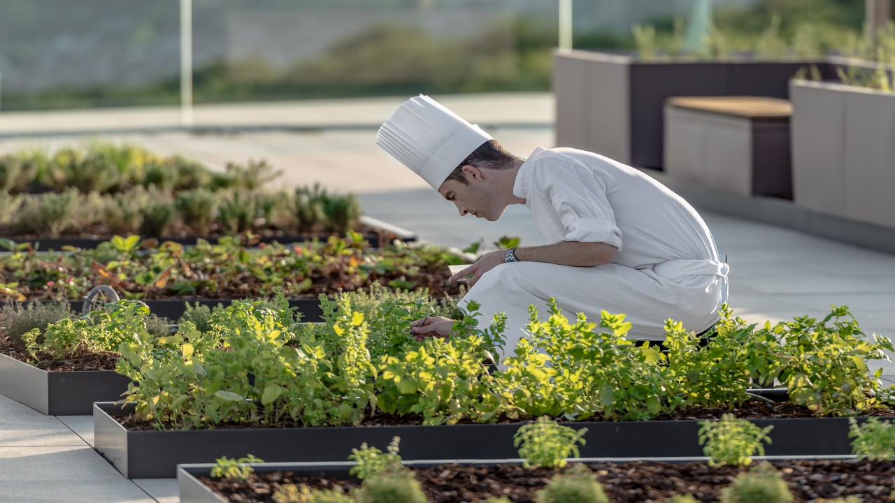 Royal Champagne Hotel & Spa