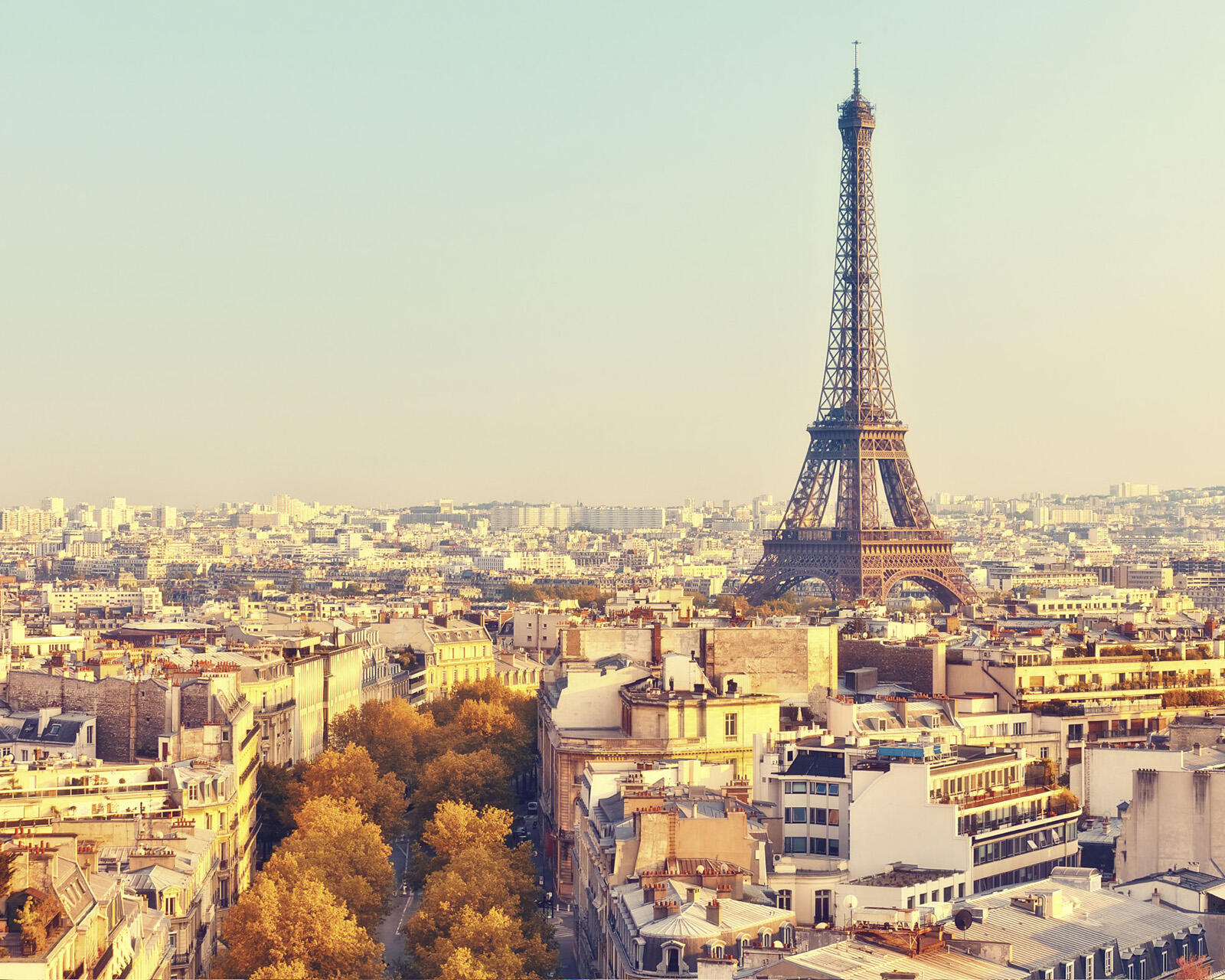 The Eiffel Tower stands tall over the Paris city skyline and autumn-colored trees during the day.