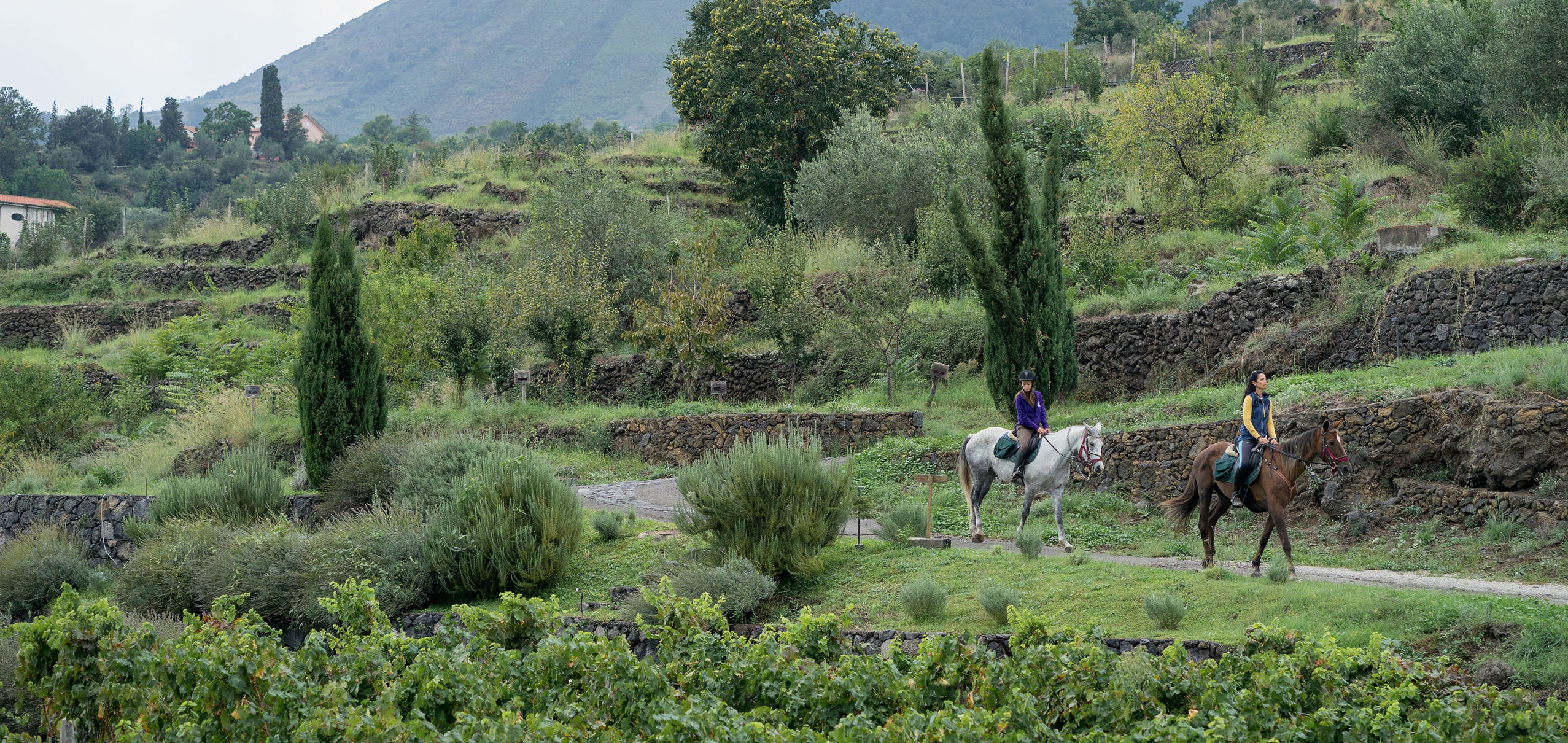 Monaci delle Terre Nere