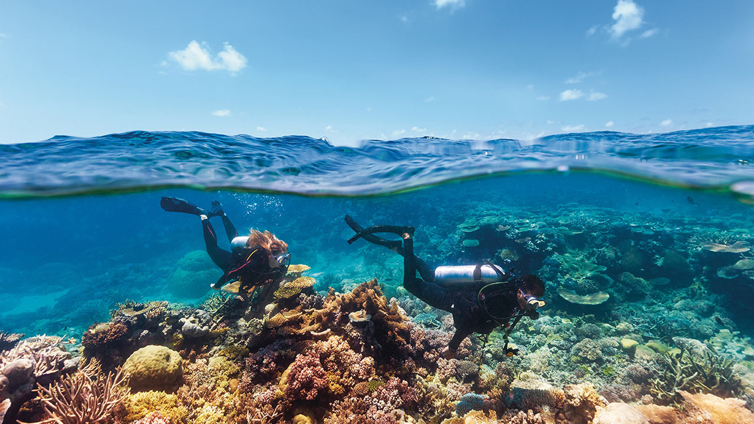 InterContinental Hayman Island