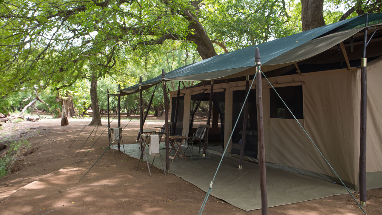 Lale’s Camp