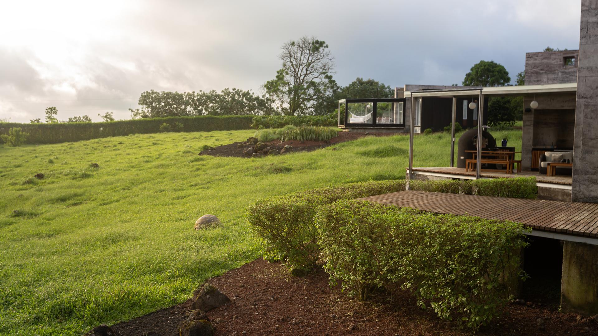 Modern house with large windows beside a lush green field under a cloudy sky.