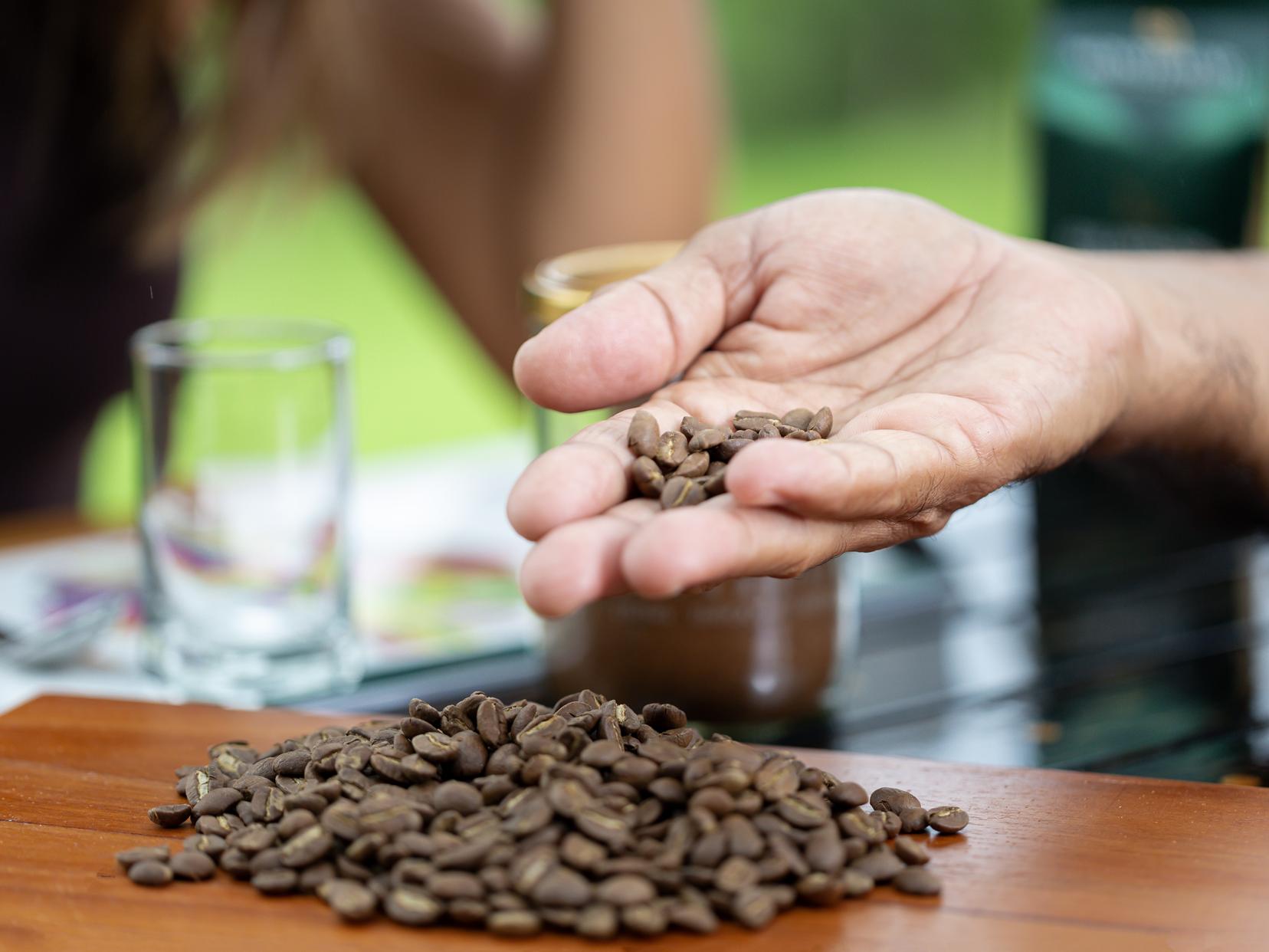 A hand holding coffee beans over a pile on a wooden table, with a blurred background.