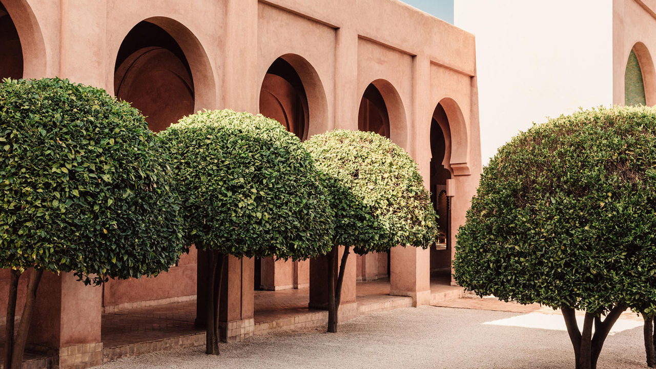 Amanjena garden trees
