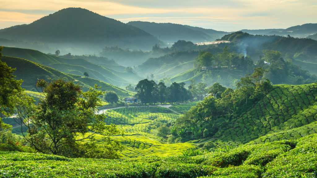 Luxury Grand Tours and Luxury Safaris | Jacada Travel