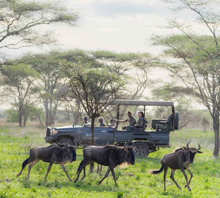 Songa Migrational Camp