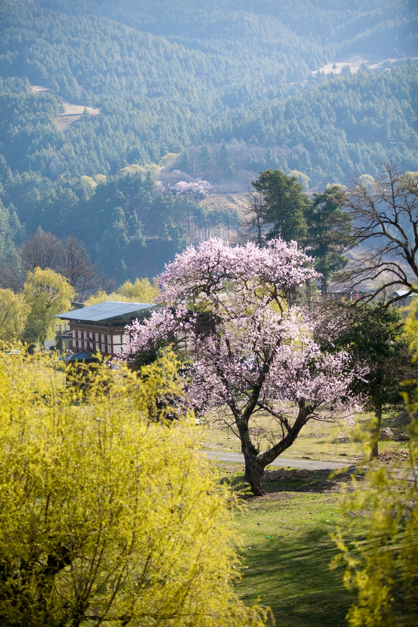 Six Senses Bumthang