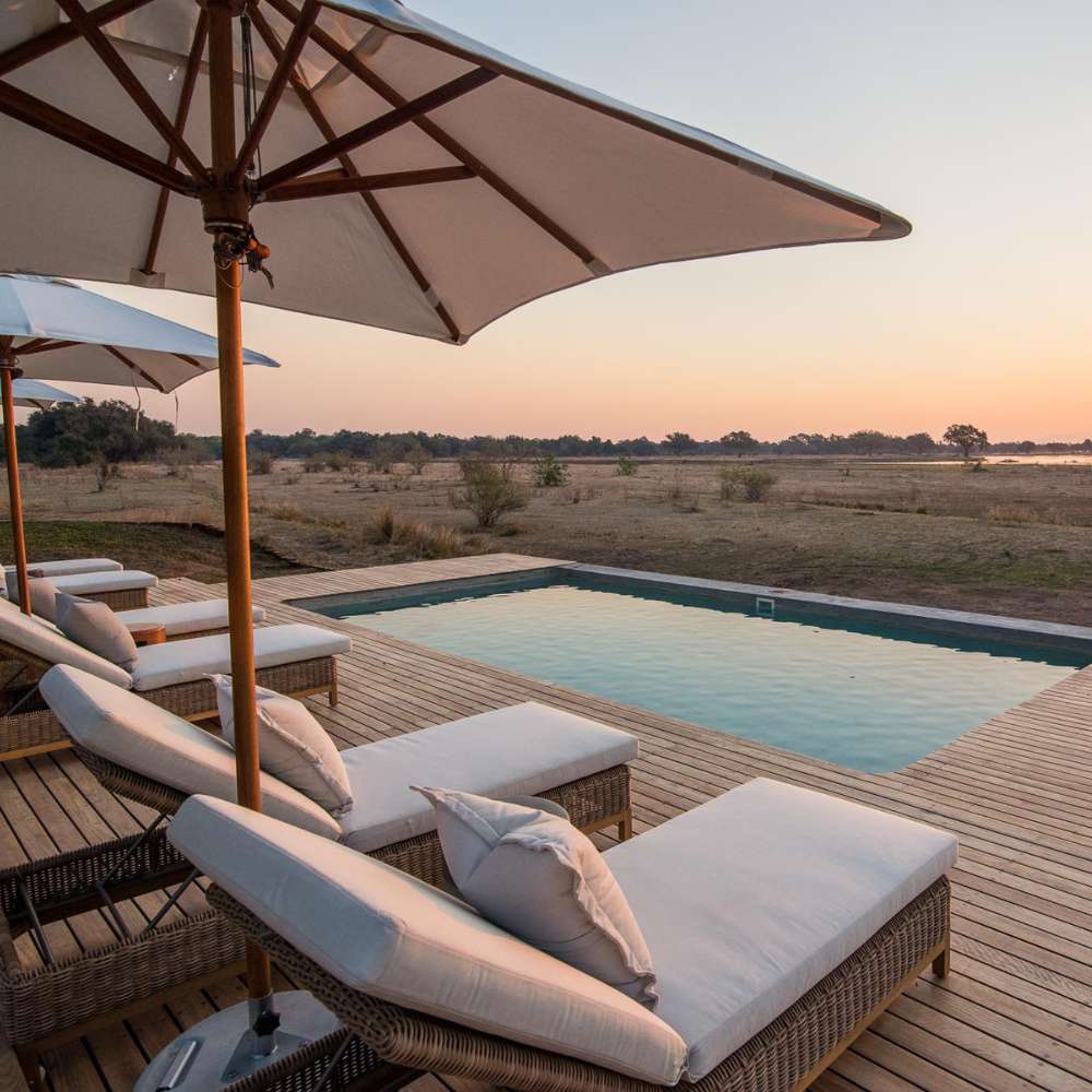 Wilderness Chikwenya