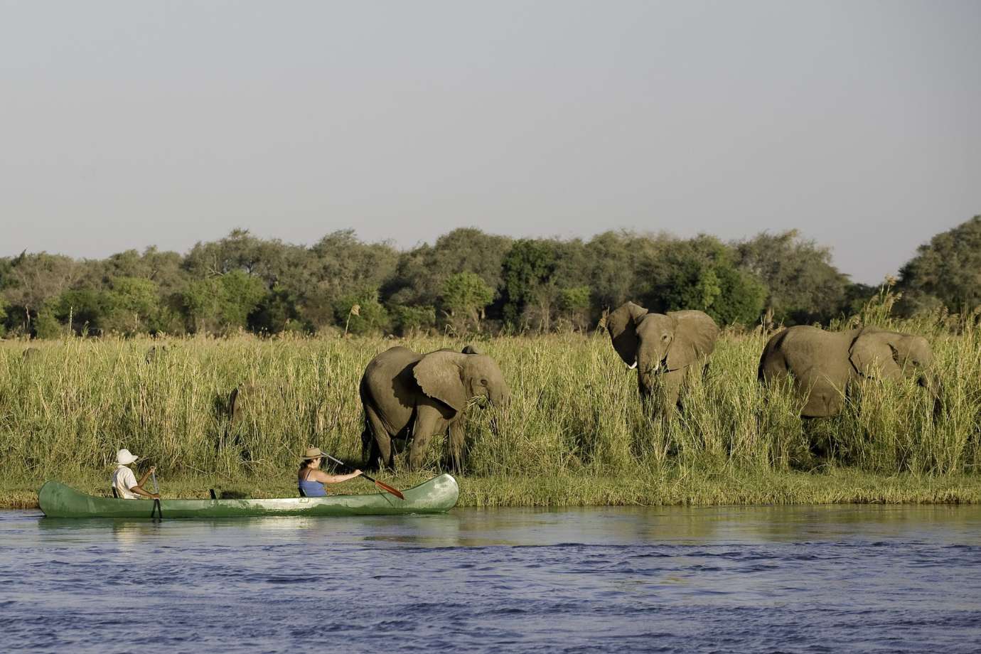 Wilderness Chikwenya