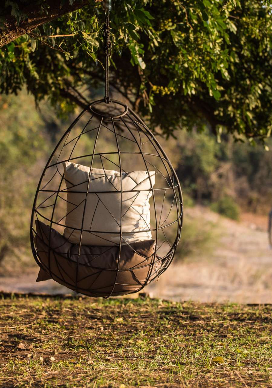 Wilderness Chikwenya