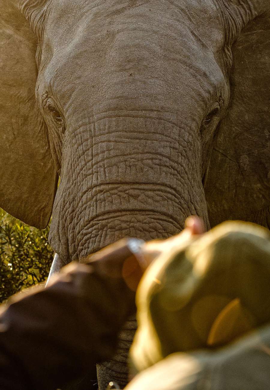 Saseka Tented Camp