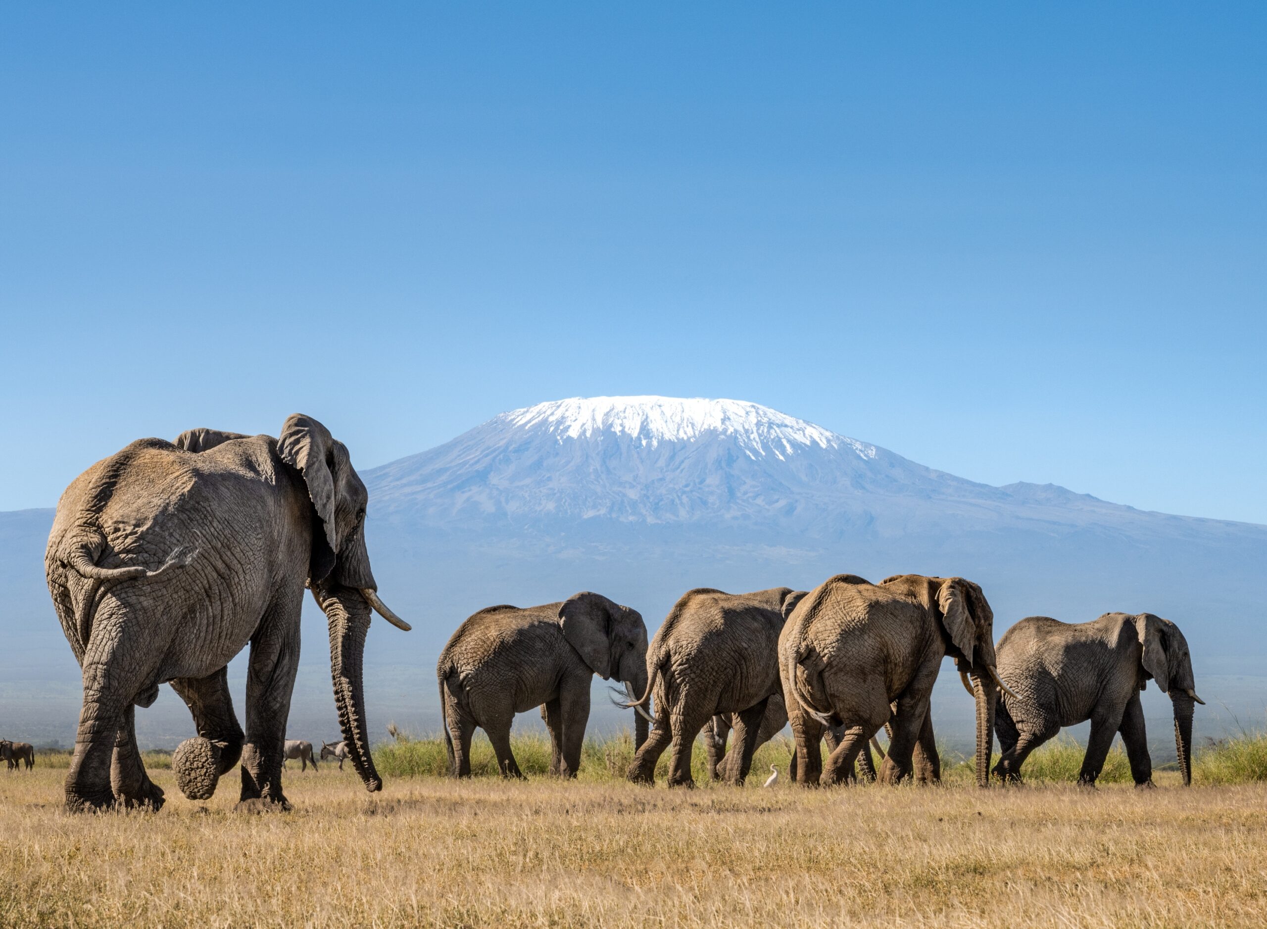 Angama Amboseli