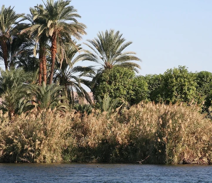 Kazazian Private Nile Cruise