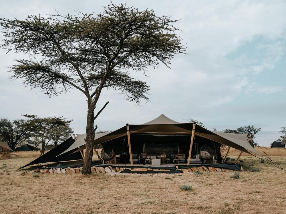 Full view of Usawa camp tent with tree