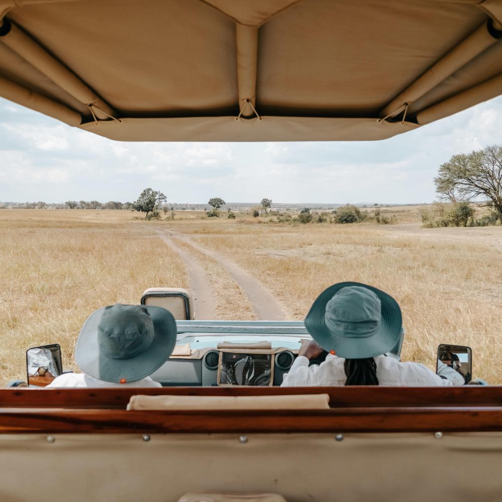 Usawa camp game drive with Tanzanian field and back of guides heads