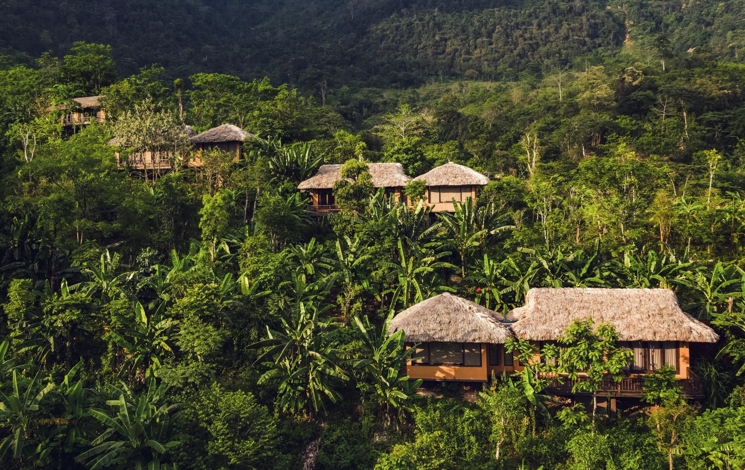 Avana Retreat