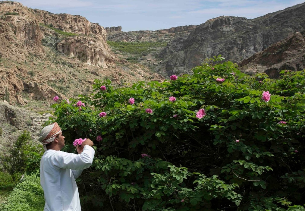 Anantara Jabal Akhdar