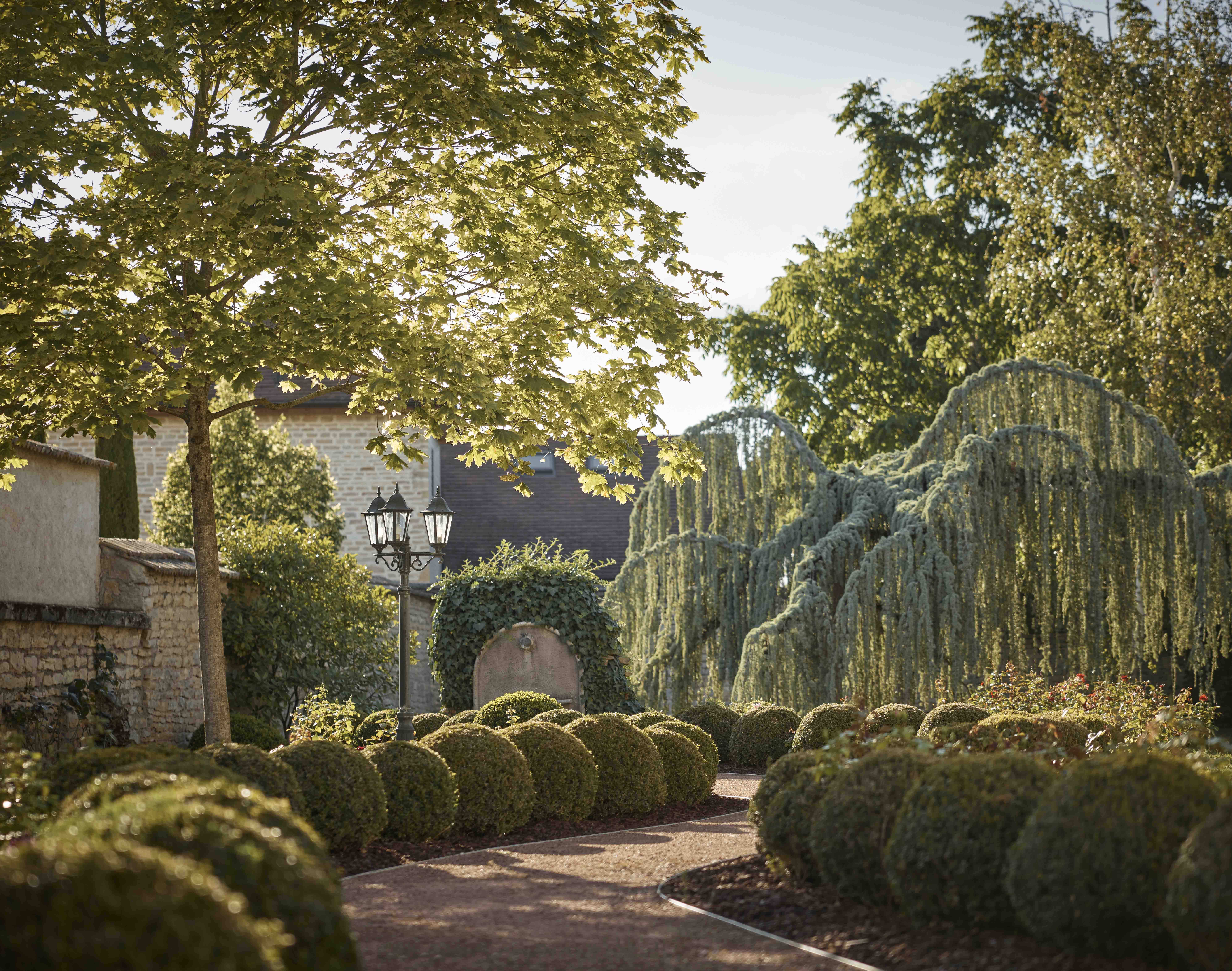 COMO Le Montrachet