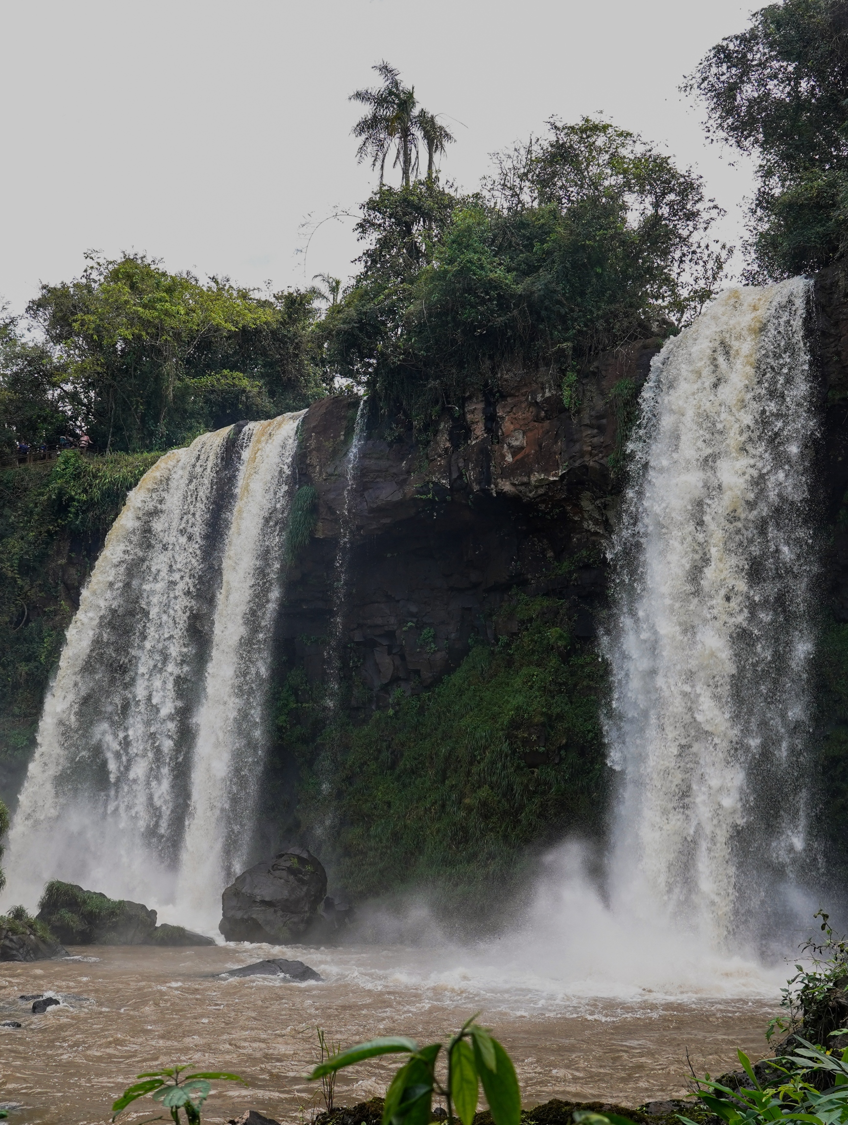 Pristine Iguazú Luxury Camp