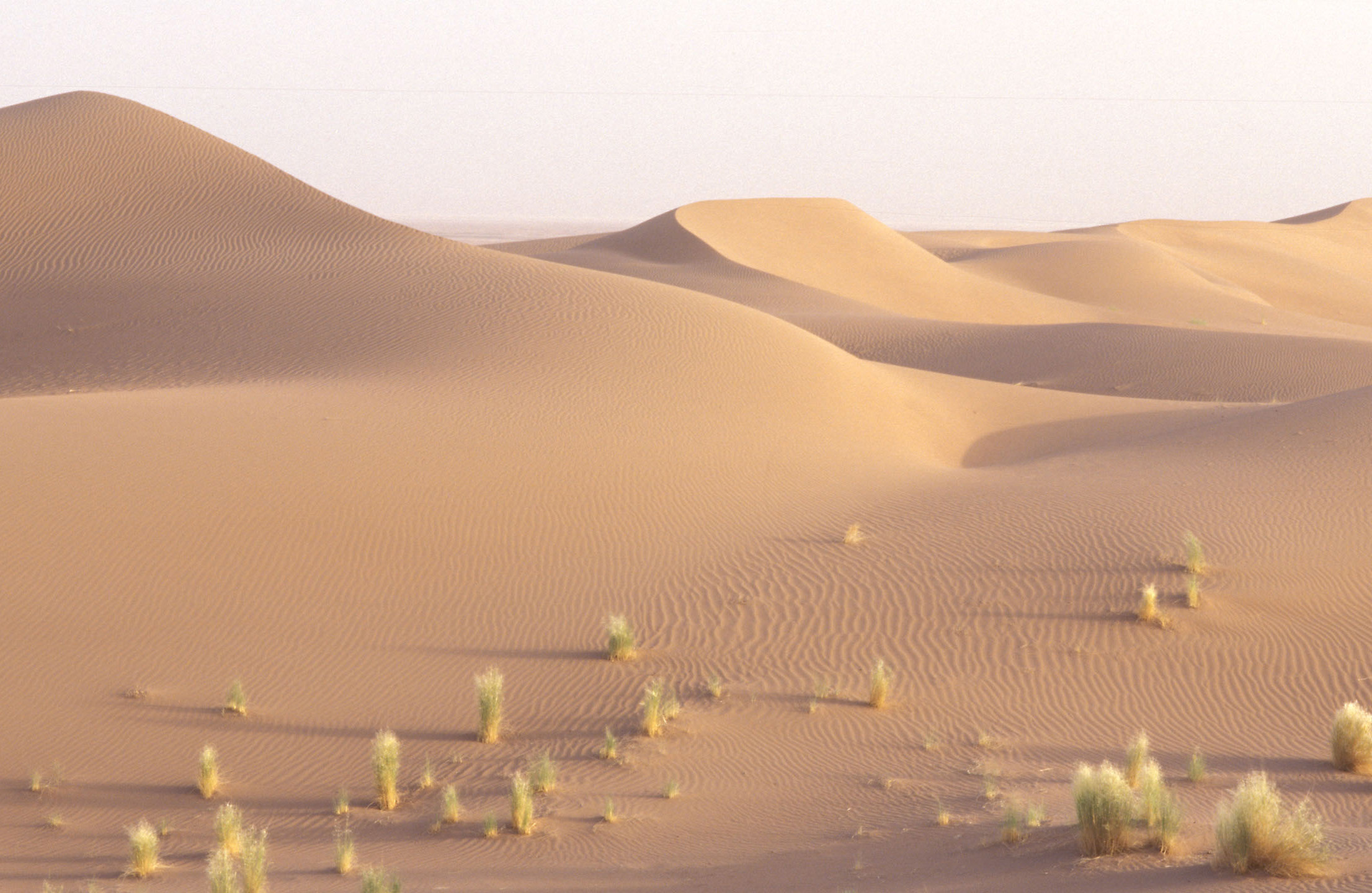 Dar Ahlam Nomad, Zagora