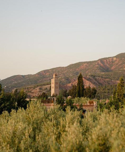 Olinto