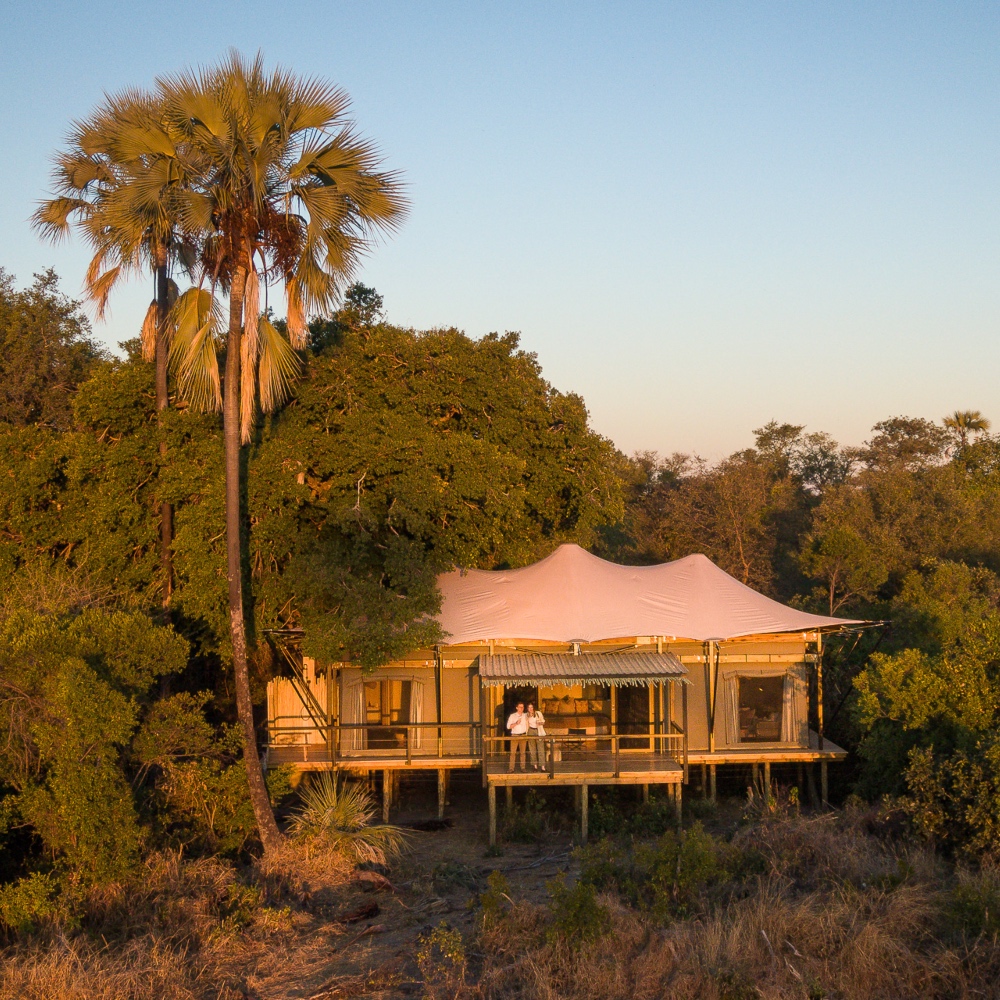 Wilderness Little Tubu